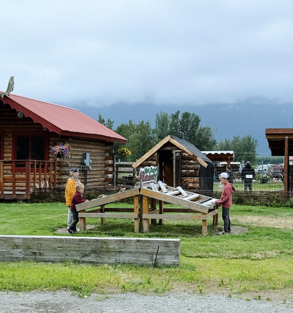 Reindeer Farm Alaska play area