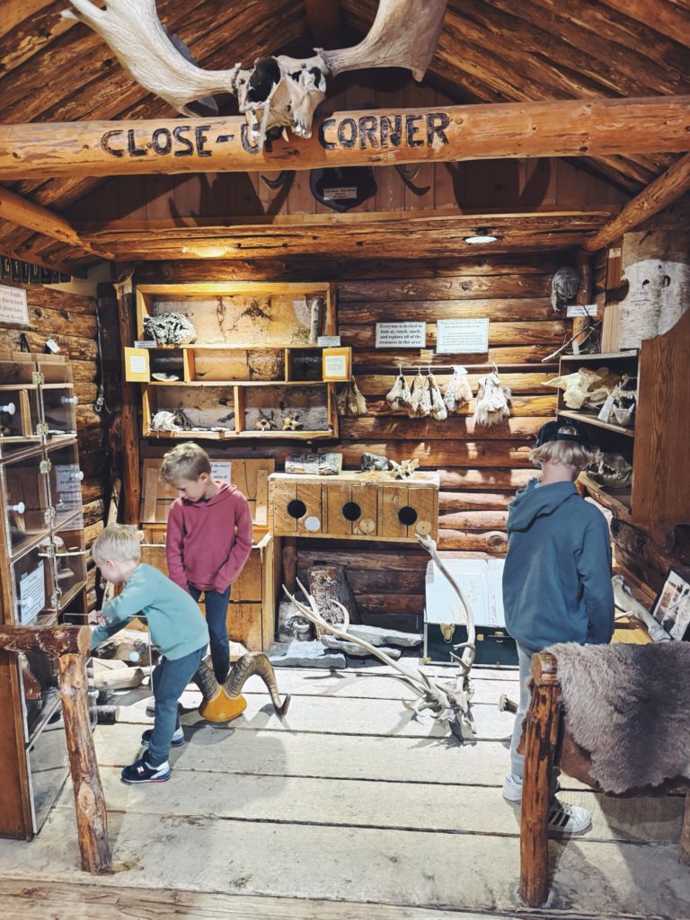 eagle river nature center alaska family vacation