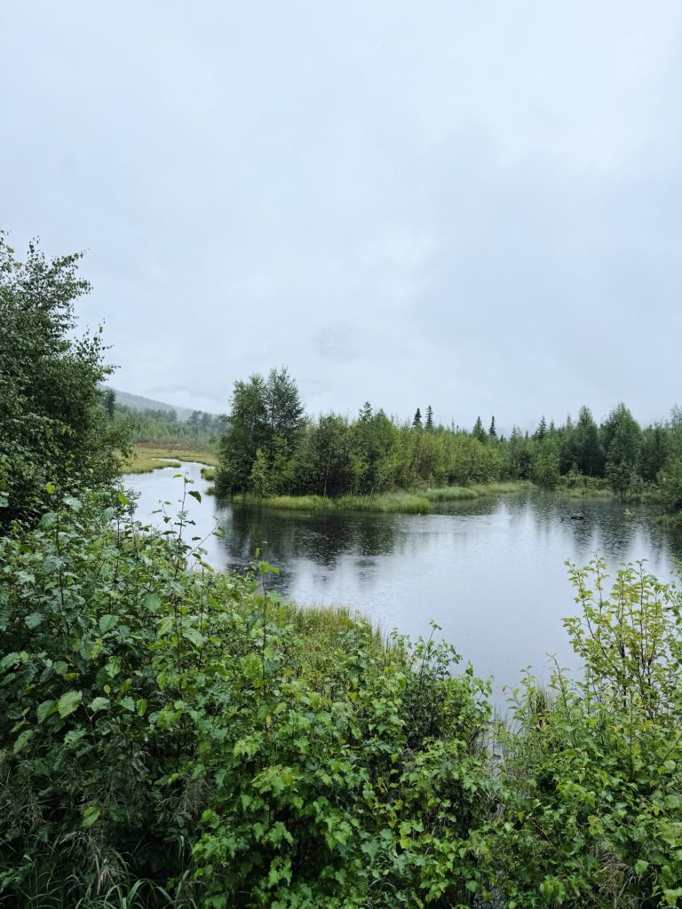 Eagle River Alaska Family Vacation: Day Four