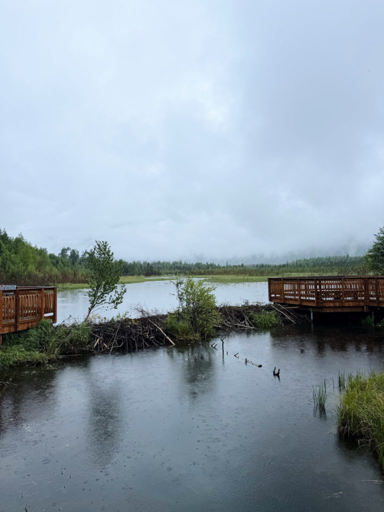 beaver dam eagle river alaska