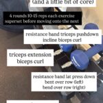 biceps triceps back workout