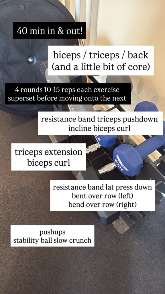 biceps triceps back workout