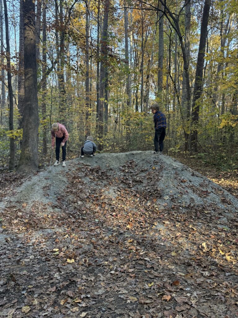 little boys camping little boys camping