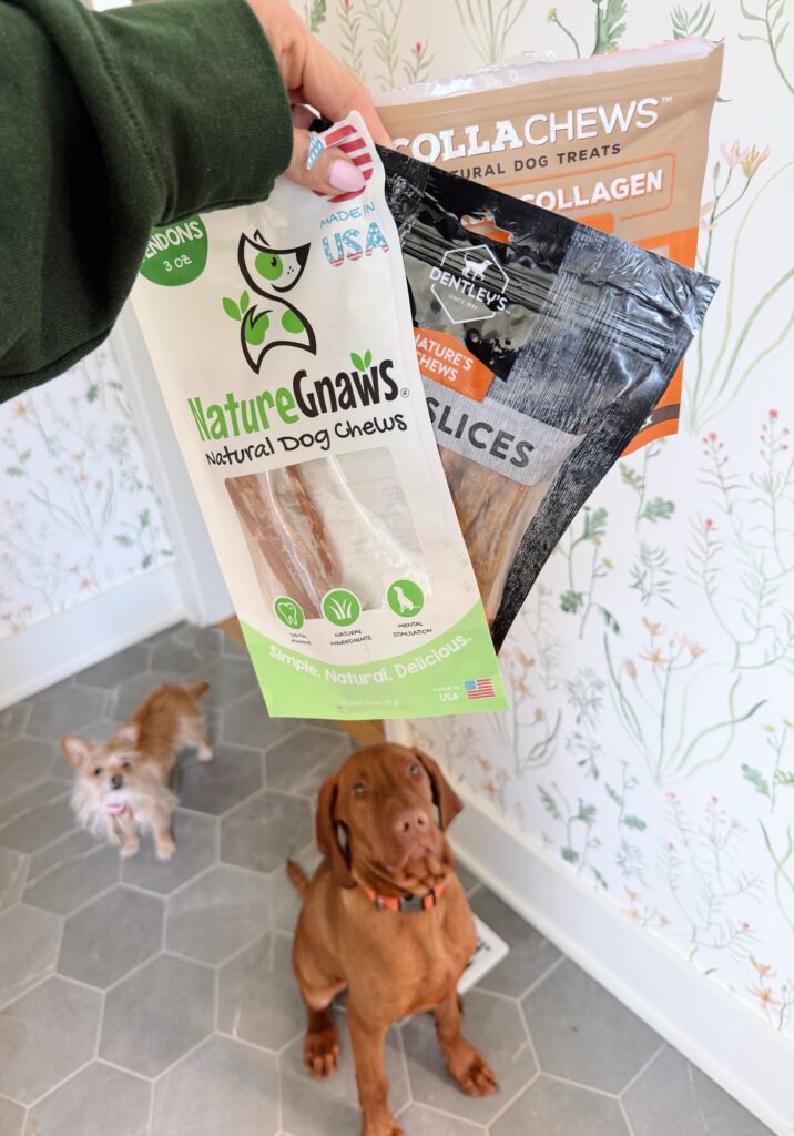Dog chews for vizsla