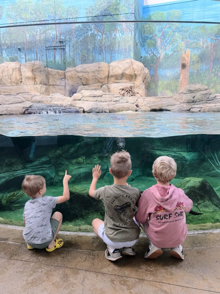 mote aquarium sarasota 