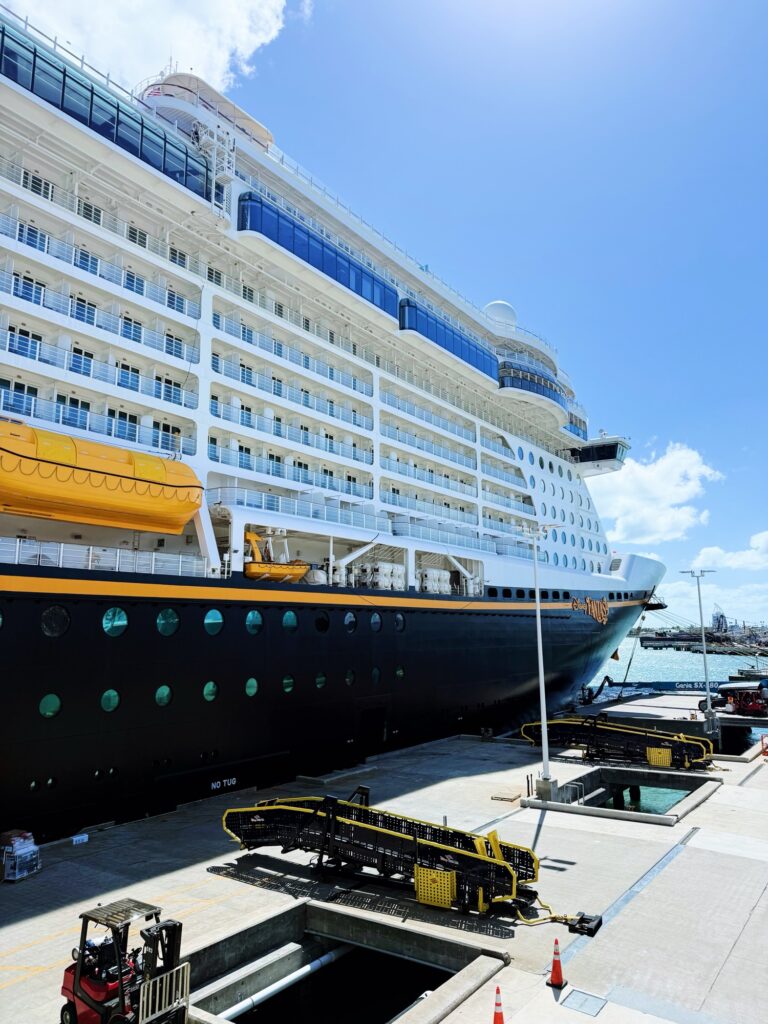 disney fantasy cruise