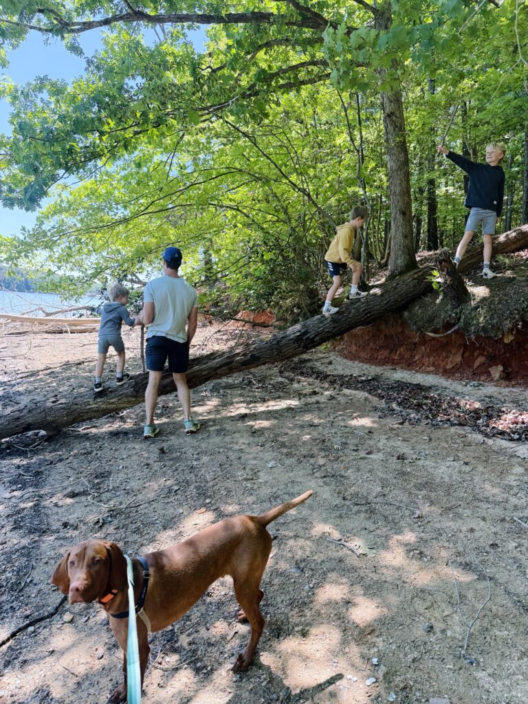 lake norman state park hiking