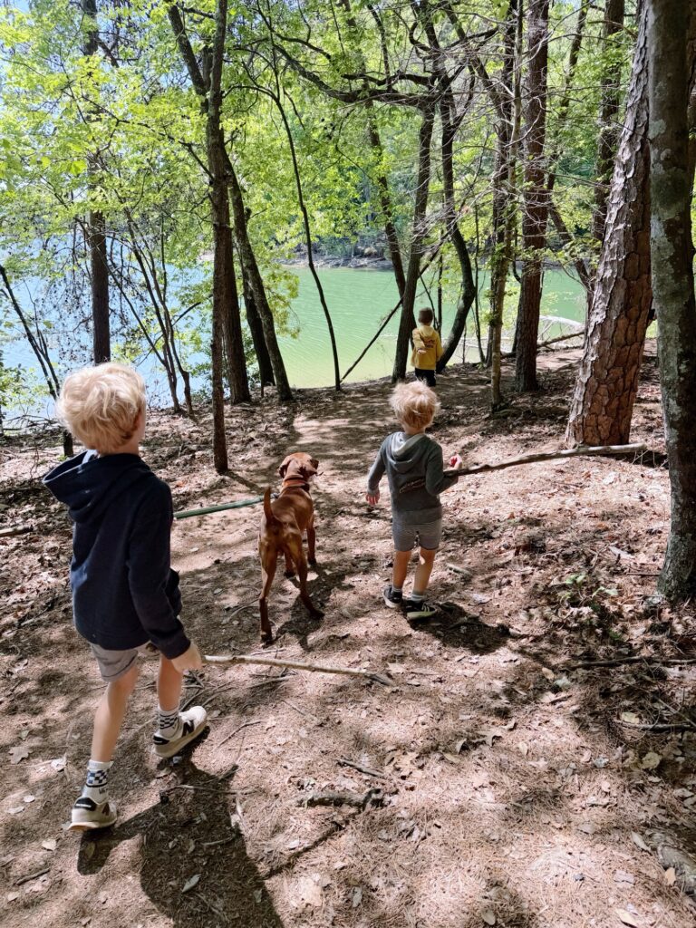 lake norman state park