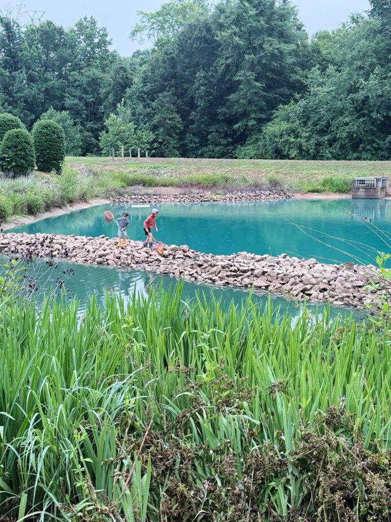 yes day outdoor activity ideas