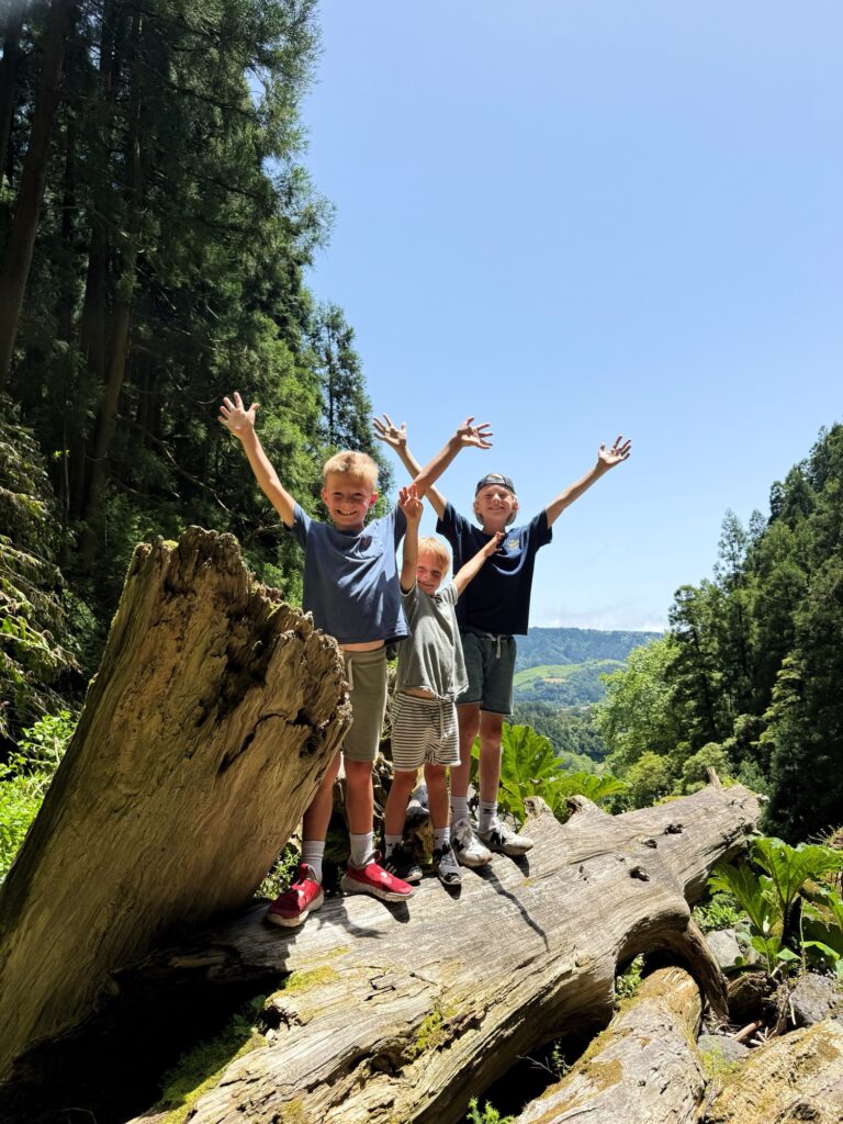 parque da grena furnas