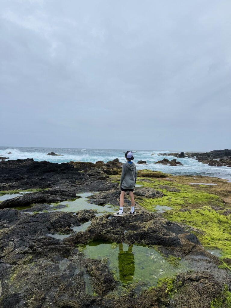 black sand beaches and lava rocks