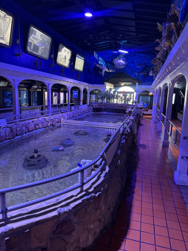 key west aquarium