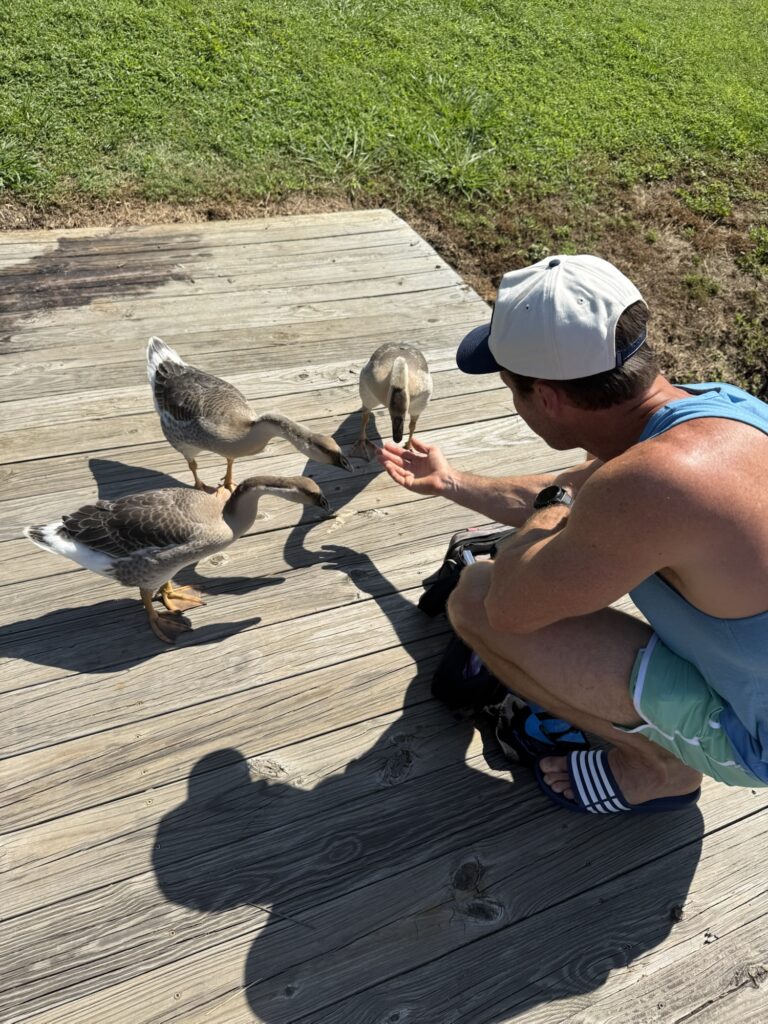 carrigan farms geese