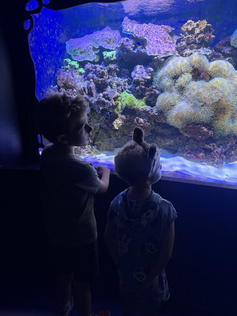 greensboro aquarium