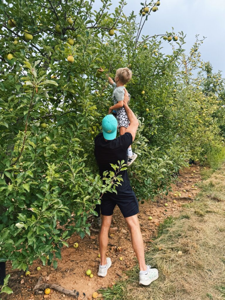perry lowe orchard