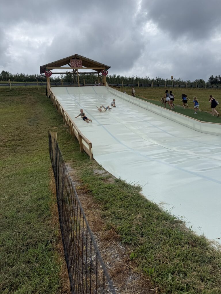 perry lowe orchards
