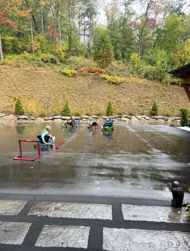 driveway hockey